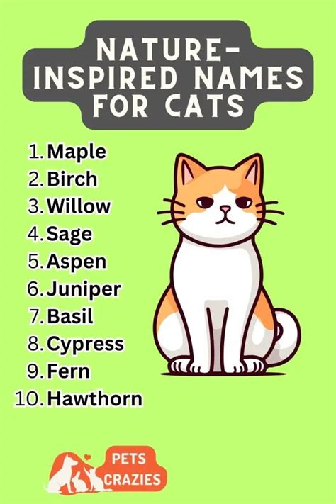 unusual cat names|nature inspired cat names.